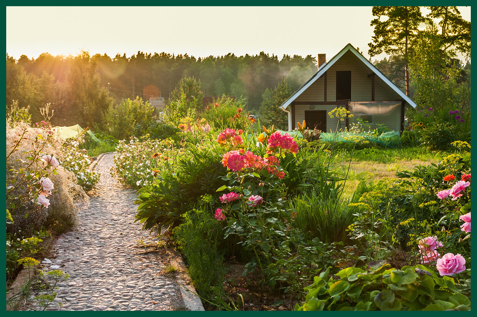 Small house with plant-lined walkway