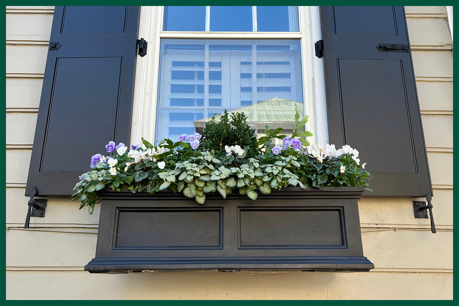 Cute planter box with purple plants by garage